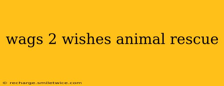 wags 2 wishes animal rescue
