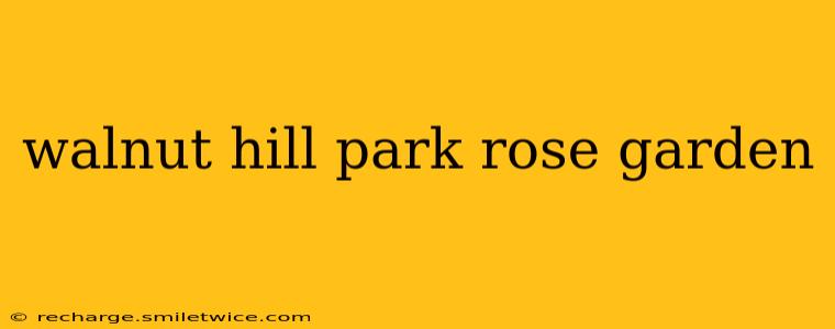 walnut hill park rose garden