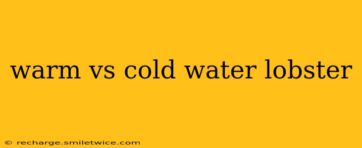 warm vs cold water lobster