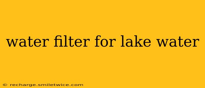 water filter for lake water