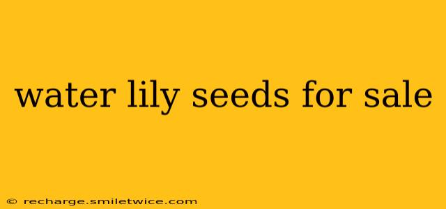 water lily seeds for sale