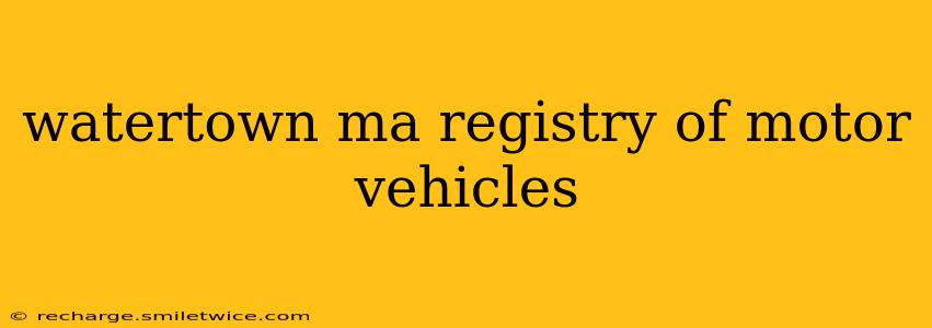 watertown ma registry of motor vehicles