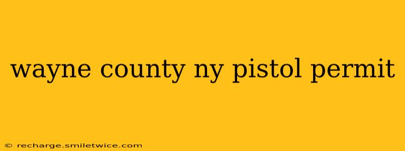wayne county ny pistol permit