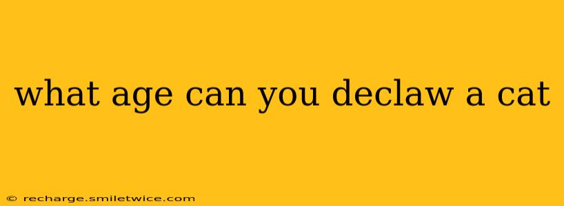 what age can you declaw a cat