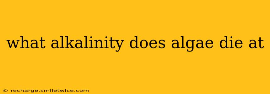 what alkalinity does algae die at