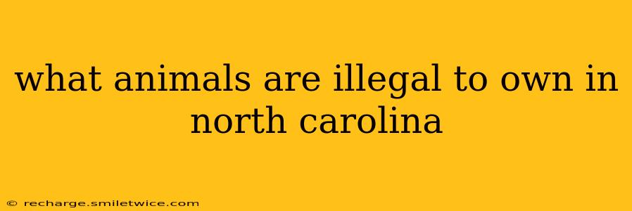 what animals are illegal to own in north carolina