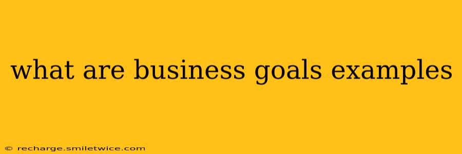 what are business goals examples