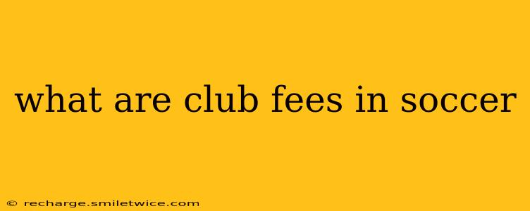 what are club fees in soccer