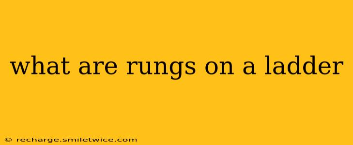what are rungs on a ladder