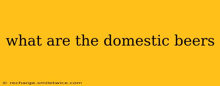 what are the domestic beers