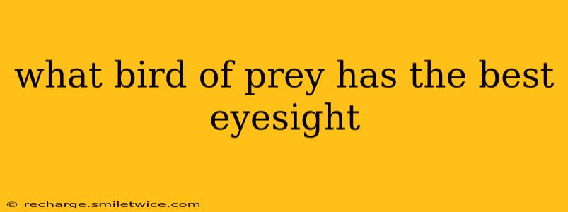 what bird of prey has the best eyesight