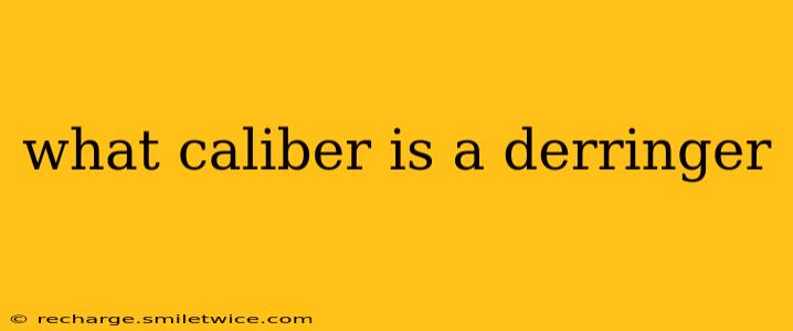 what caliber is a derringer