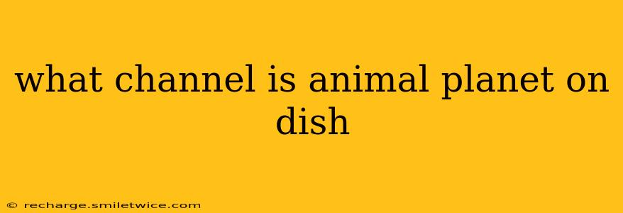 what channel is animal planet on dish