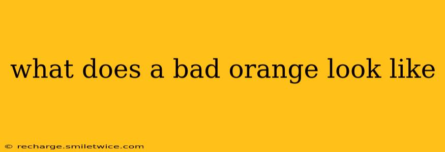 what does a bad orange look like