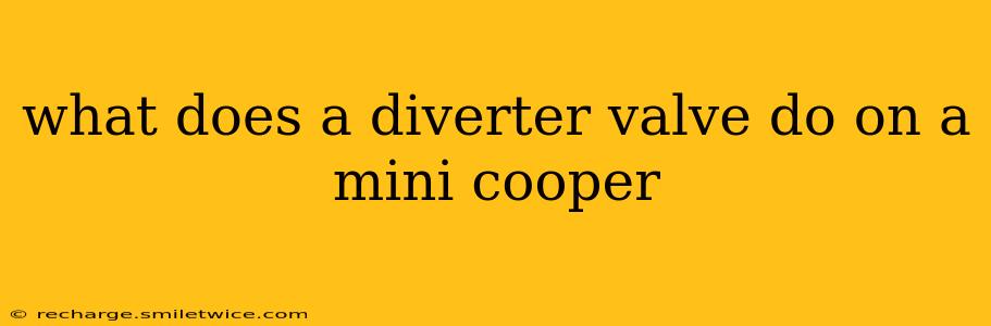 what does a diverter valve do on a mini cooper
