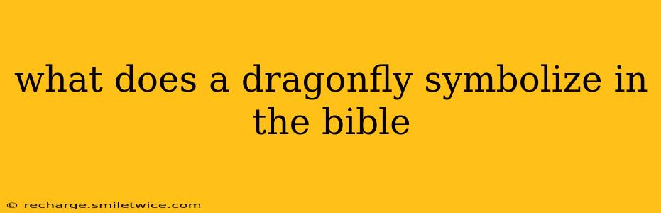 what does a dragonfly symbolize in the bible