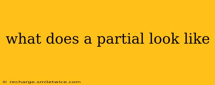 what does a partial look like