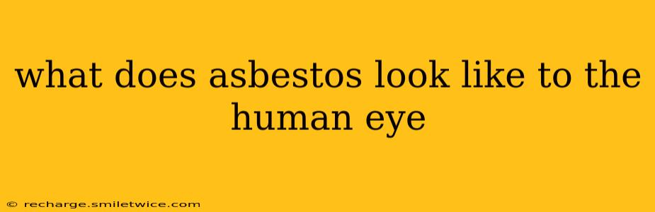 what does asbestos look like to the human eye