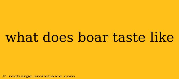 what does boar taste like