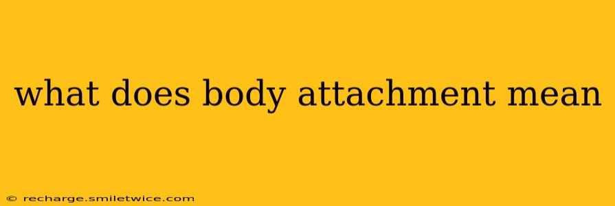 what does body attachment mean
