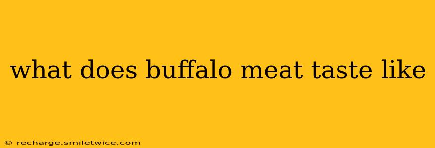 what does buffalo meat taste like