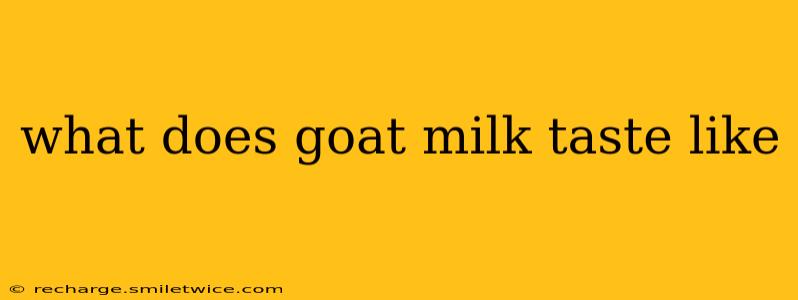 what does goat milk taste like