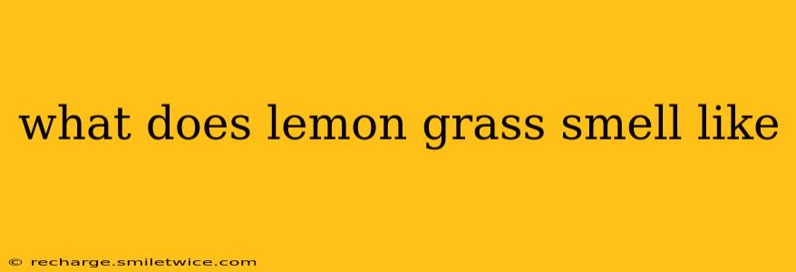 what does lemon grass smell like
