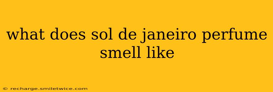 what does sol de janeiro perfume smell like