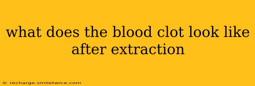 what does the blood clot look like after extraction