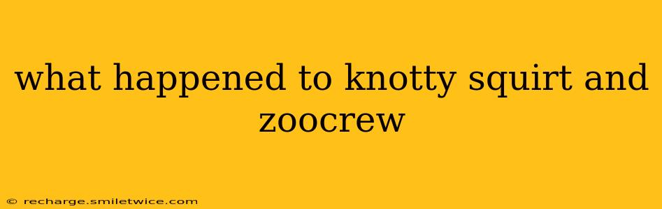 what happened to knotty squirt and zoocrew