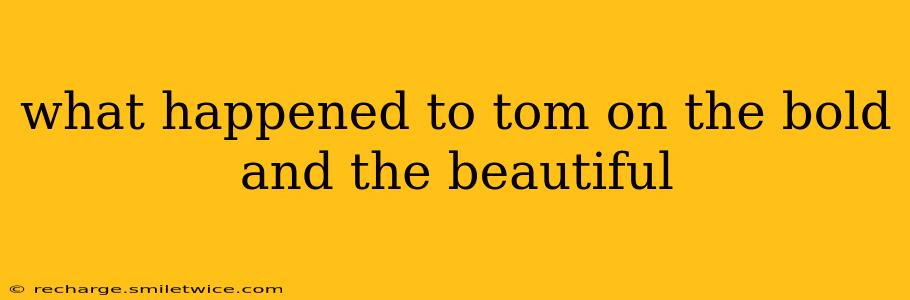 what happened to tom on the bold and the beautiful
