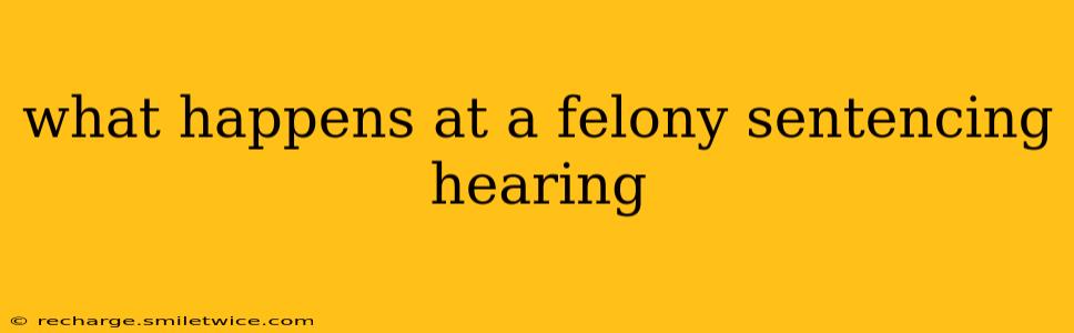 what happens at a felony sentencing hearing