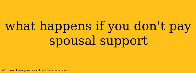 what happens if you don't pay spousal support