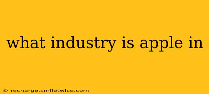 what industry is apple in
