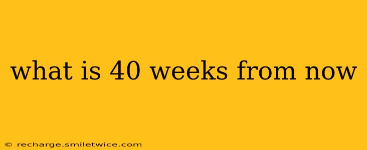 what is 40 weeks from now