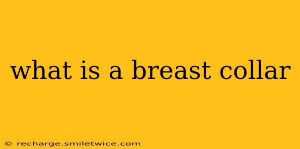 what is a breast collar
