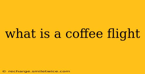 what is a coffee flight