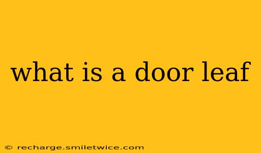 what is a door leaf