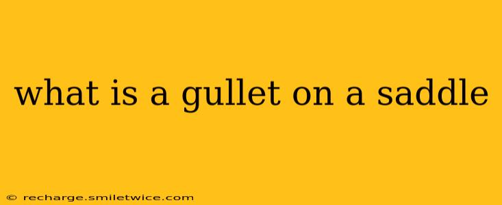 what is a gullet on a saddle