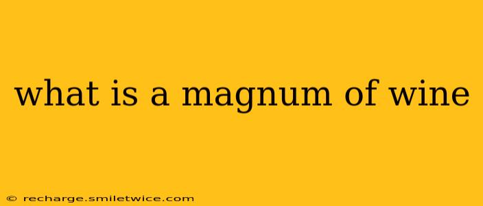 what is a magnum of wine