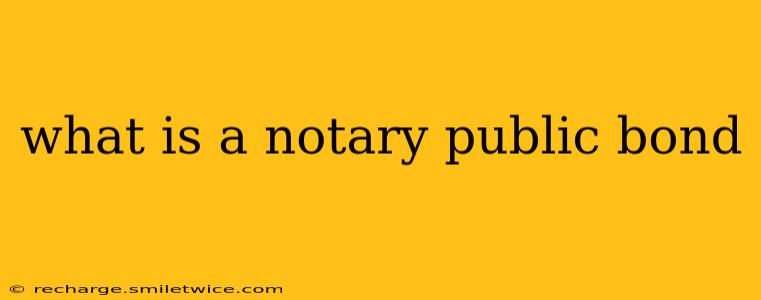 what is a notary public bond