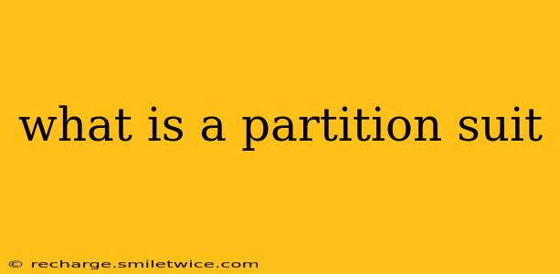 what is a partition suit