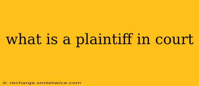 what is a plaintiff in court