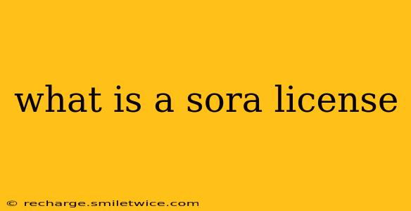 what is a sora license