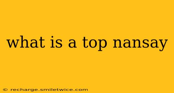 what is a top nansay