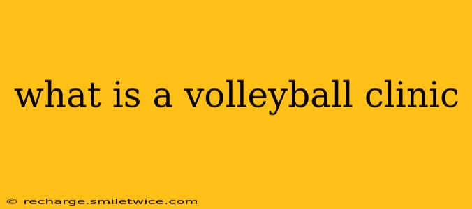 what is a volleyball clinic