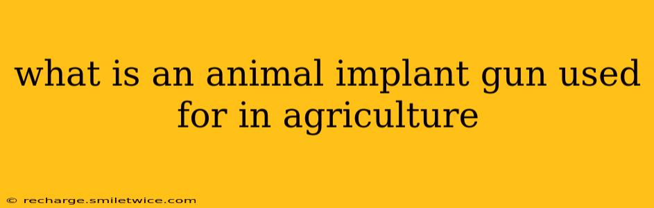 what is an animal implant gun used for in agriculture
