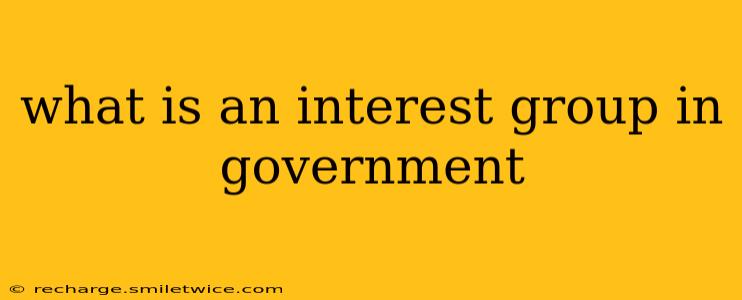 what is an interest group in government