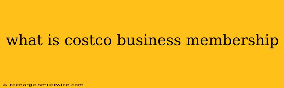 what is costco business membership
