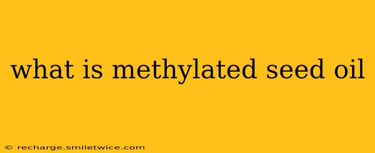 what is methylated seed oil